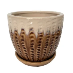 Pompeii Ceramic Planter With Attached Saucer - Latte - 6" X 5.5"