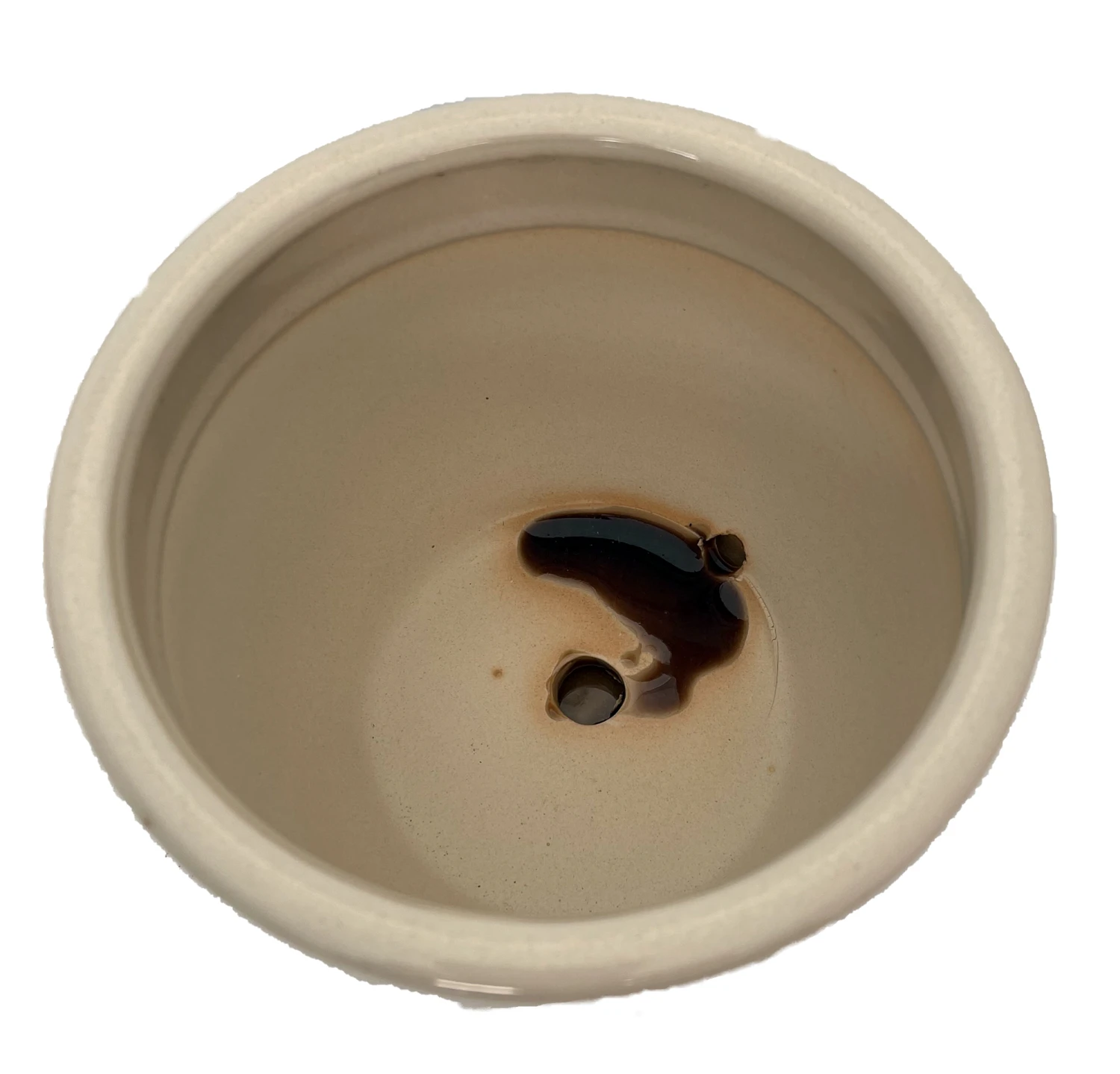 Pompeii Ceramic Planter With Attached Saucer - Latte - 6" X 5.5" 2 Pompeii Ceramic Planter With Attached Saucer - Latte - 6" X 5.5" - Image 2