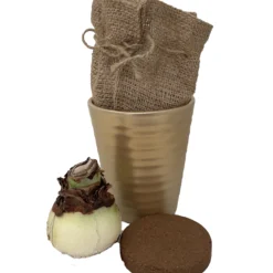 Red Lion Gold Ceramic Amaryllis Kit - Bulb/Ceramic Vase/Planting Medium 5 Red Lion Gold Ceramic Amaryllis Kit - Bulb/Ceramic Vase/Planting Medium -Outlet Buds Grow Store amarceramickitcontents 40037.1666283060