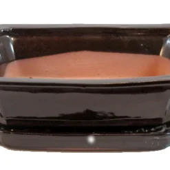 Ceramic Bonsai Pot + Saucer - Dark Brown - 8" X 6.25" X 3" + Felt Feet