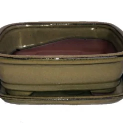 Ceramic Bonsai Pot/Attached Saucer - Mustard - 8" X 6.25" X 3" + Felt Feet