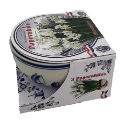 Delft Ceramic Bowl With Paperwhite Narcissus Bulbs Indoor Growing Kit - FragrantT -Outlet Buds Grow Store apieooy1w 13460.1592328398