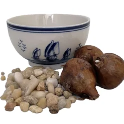 Delft Ceramic Bowl With Paperwhite Narcissus Bulbs Indoor Growing Kit - FragrantT