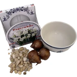 Delft Ceramic Bowl With Paperwhite Narcissus Bulbs Indoor Growing Kit - FragrantT -Outlet Buds Grow Store apik9gqlb 10524.1592328398