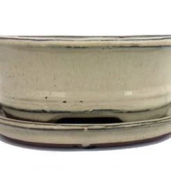 Ceramic Bonsai Pot/Saucer - Beige/Oval - 6 1/8" X 4 1/2" X 2" With Felt Feet