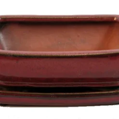Ceramic Bonsai Pot/Attached Saucer - Parisian Red - 8" X 6.25" X 3" + Felt Feet