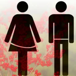 Berry Poppins™ & Mr. Poppins™ Winterberry Holly - Male/Female