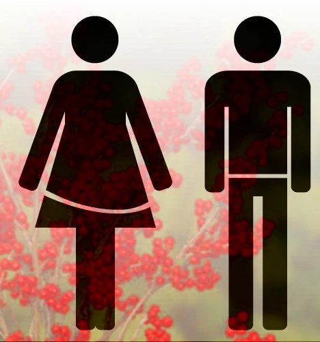 Berry Poppins™ & Mr. Poppins™ Winterberry Holly - Male/Female 1 Berry Poppins™ & Mr. Poppins™ Winterberry Holly - Male/Female