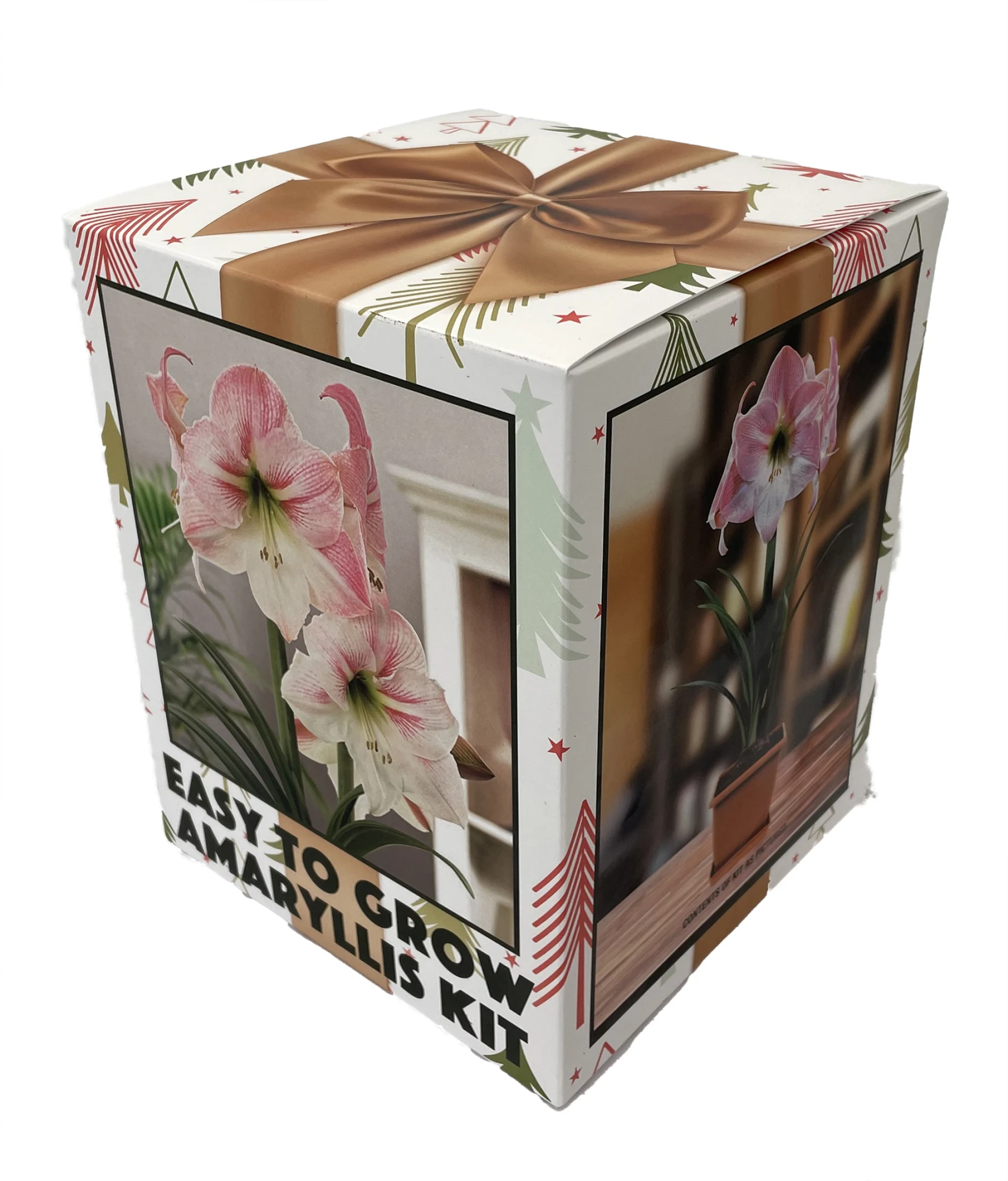 Amaryllis Kit: Apple Blossom + Plastic Pot & Soil - 26/28 Cm Bulb - Netherland 1 Amaryllis Kit: Apple Blossom + Plastic Pot & Soil - 26/28 Cm Bulb - Netherland