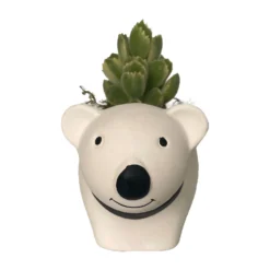 Cozy Bear Planter With Variegated Bear Paw Succulent Plant -3" X 5.75" X 3.75"