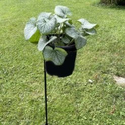 Outdoor Hanging Basket/Plant Stand - Use With Standard 10" Pots - 40" Tall -Outlet Buds Grow Store brunntoppltstn 61932.1693511364