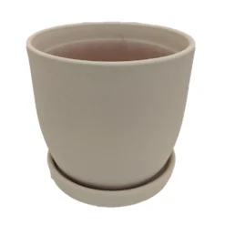Chatham Egg Pot With Attached Saucer - Sandy Matte White - 5.5" X 5"