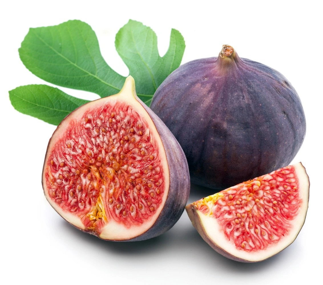 ‘Chicago Hardy’ Fig - Ficus Carica - 4" Pot 1 ‘Chicago Hardy’ Fig - Ficus Carica - 4" Pot