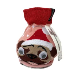 Dog Sweater Wax Amaryllis Bulb - Blooms Without Soil/Water