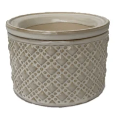 Knots Self Watering Glazed Ceramic Pot - Moonstone - 5" X 3.5"