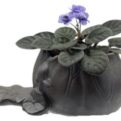 Creative Lotus Leaf Ceramic Planter With Live Miniature African Violet