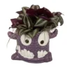 Monster Mash Halloween Ceramic Planter & Live House Plant - 3.5" Pot - Purple