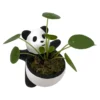 Lucky Panda Planter With Chinese Money Plant And Sheet Moss - 4.5" X 4.75"