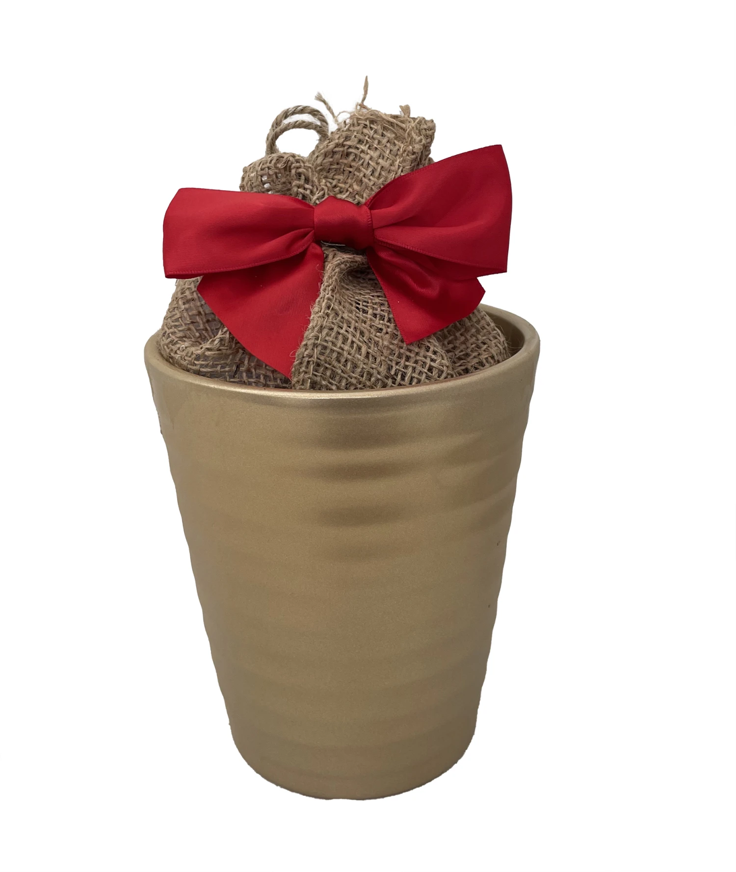 Red Lion Gold Ceramic Amaryllis Kit - Bulb/Ceramic Vase/Planting Medium 2 Red Lion Gold Ceramic Amaryllis Kit - Bulb/Ceramic Vase/Planting Medium - Image 2