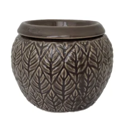 Sherborn Self Watering Glazed Ceramic Pot - Crocodile - 5.25 X 4.25"